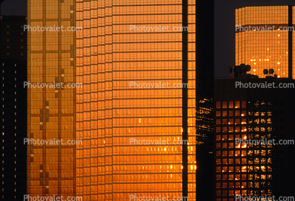 Dallas Skyline, buildings, reflection, 23 March 1993