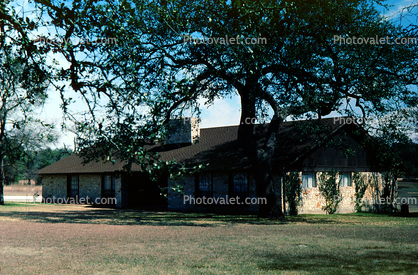 House, building, trees, Hendricks Home, San Marcos