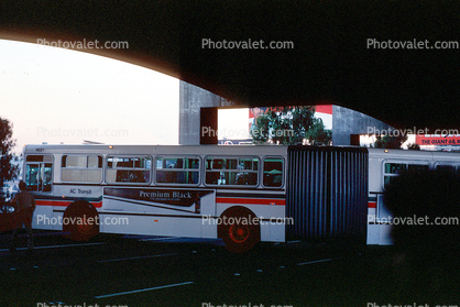 Articulated Bus trying to turn around, Loma Prieta Earthquake (1989), 1980s