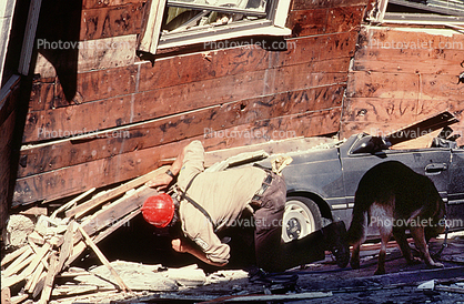 German Shepard, Rescue Dog, Rescuers, Collapsed Home, Crushed Car, Marina district, Loma Prieta Earthquake (1989), 1980s
