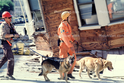 Rescuers, Dogs, German Shepard, Marina district, Loma Prieta Earthquake (1989), 1980s