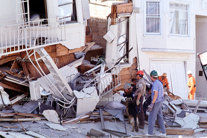 Rescuers, Dogs, Crushed House, Marina district, Loma Prieta Earthquake (1989), 1980s