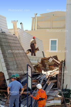 Rescuers, Dog, Crushed House, Marina district, Loma Prieta Earthquake (1989), 1980s