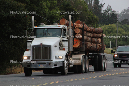 Kenworth Semi Logging Truck