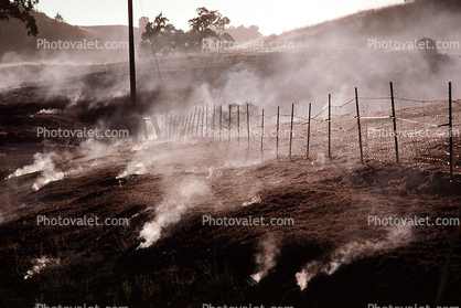 grass fire, Sonoma County, fence