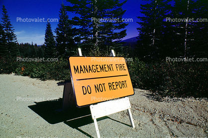 Management Fire