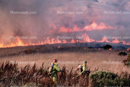 Wildfire, Firefighters, Firemen, San Bruno Mountain