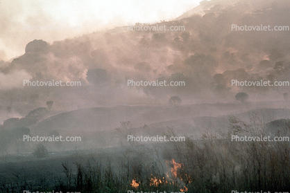 surreal landscape, smoke, wildland fire, San Bruno Mountain