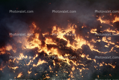 the Inferno of the Westeley Tire Fire