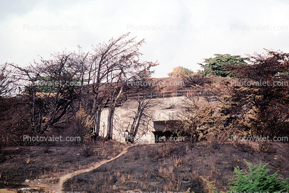 Burned out House, Home, Charred landscape