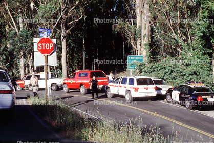 Mount Tamalpais, Car, Automobile, Vehicle