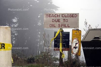 Hanjin, Cosco Busan Oil Spill, The Presidio Beach
