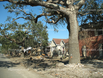Home, House, Trees, Rubble, Hurricane Katrina aftermath, New Orleans, 2005, detritus
