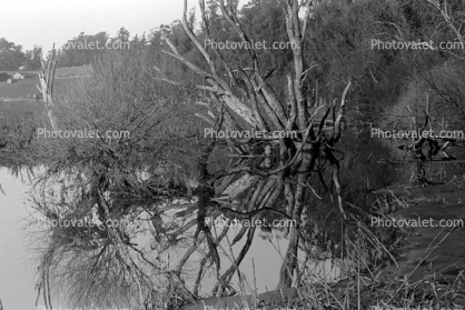 flooding near Valley Ford, Sonoma County, California