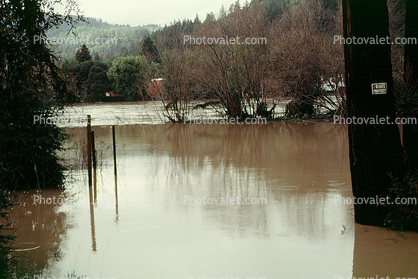River Flooding in Guerneville, 14 January 1995