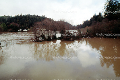River, Flooding in Guerneville, 14 January 1995