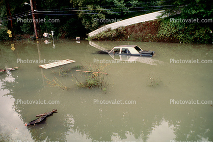 House, Flooding in Guerneville, 14 January 1995