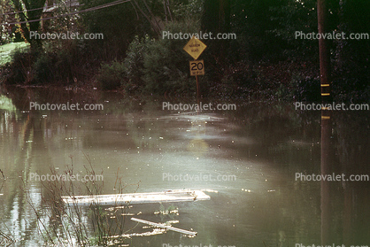 Road Flooding, Street, 14 January 1995