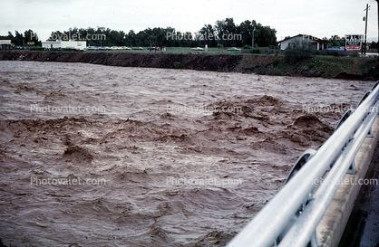 Flash Flood, Flashflood, Muddy Waters, 1978