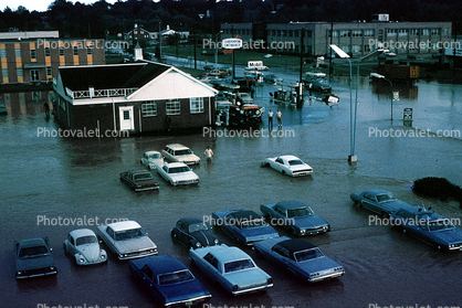 Flooded Parking Lot