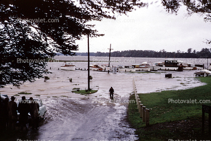 harbor, Docks, Flooded