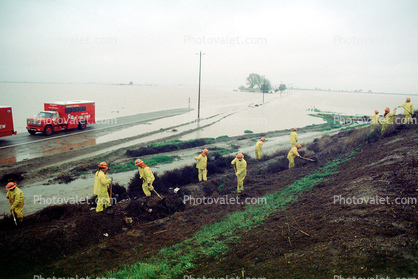 Levee, Berm, Road, Northern California