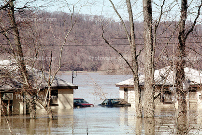 Flooded Homes, House, Cars, Louisville, Kentucky