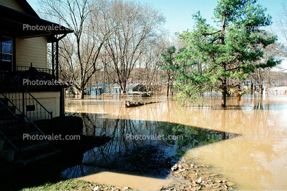 Flooded Home, House, Louisville, Kentucky