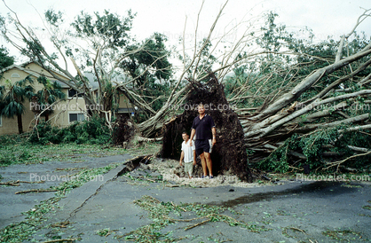 downed trees, felled, buildings, roots, home, house, people, Hurricane Francis, 2004