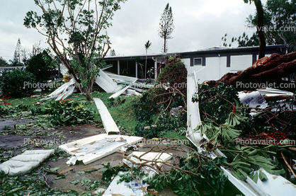 detritus, downed trees, building, house, homes, Hurricane Francis, 2004, rubble