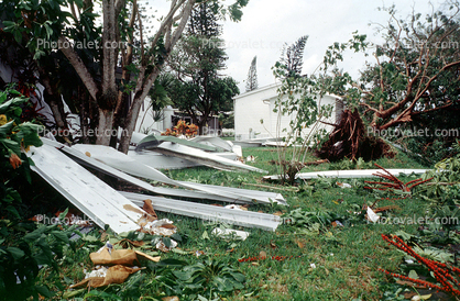 detritus, rubble, trees, building, house, homes, Hurricane Francis, 2004