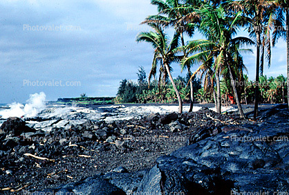 Lava Flow at the Ocean, Palm Trees