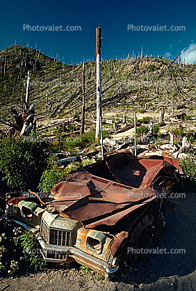 Rusting Crushed Car, flattened forest
