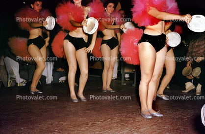 Woman, Female, Gal, Costume, Bushy Tails, Lady, Women, Carribean Cruise ship, Burlesque