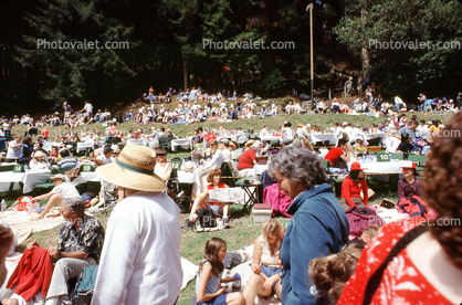 Concert at the Park, Stern Grove, San Francisco