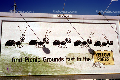 Marching Ants, Yellow Pages, New Hampshire, May 1965