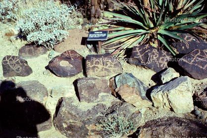 Arizona Rock Petroglyphs