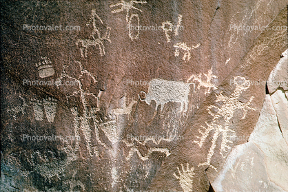 Buffalo Petroglyph