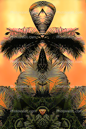 Palm Tree Man, faces