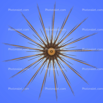 Radiolaria, Radiozoa, protozoa, center circle, spikes