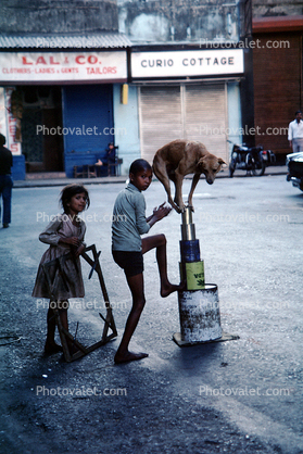 Boy and his Acrobat Dog, Balancing On Wobbly Tin Cans, Mumbai