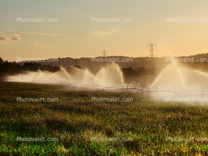 Water, Watering, irrigation, sprinklers