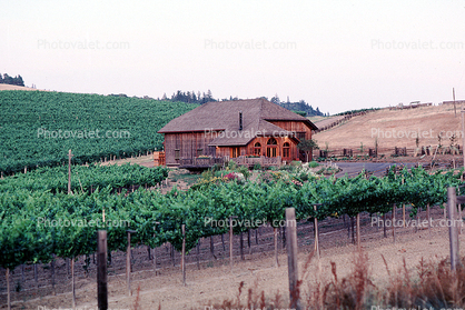 Home, House, Winery, Architecture