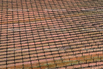Rows, texture