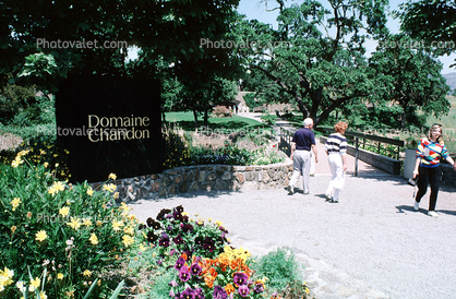 Domaine Chandon, Pansies, Daisies, garden
