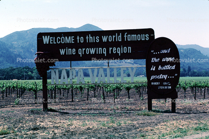Welcome to this world famous wine growing region, Saint Saint Saint and the wine is bottled poetry, Napa Valley