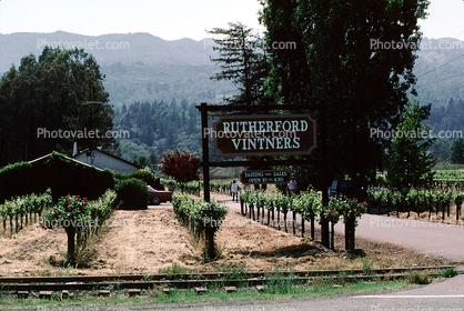 Rutherford Vintners