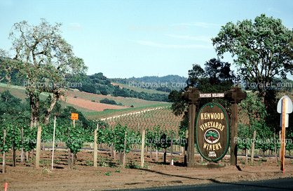 Kenwood Vineyards Winery, 1908, Sonoma County, California