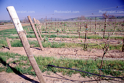 Livermore Valley, California