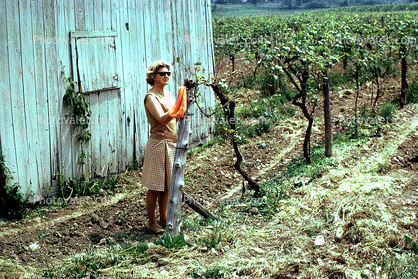 Woman, Female, Widmer Winery, New York